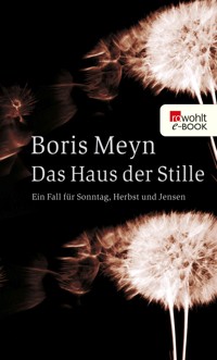 Das Haus der Stille - Boris Meyn - E-Book