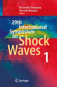 29th International Symposium  on Shock Waves 1 -  - E-Book