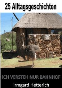 - 25 Alltagsgeschichten - Lustige Kurzgeschichten - Irmgard Hetterich - E-Book