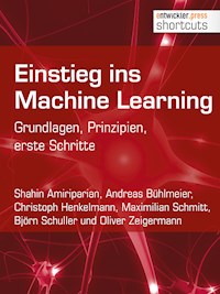 Einstieg ins Machine Learning - Shahin Amiriparian - E-Book