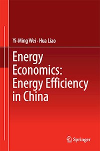 Energy Economics: Energy Efficiency in China - Yi-Ming Wei - E-Book