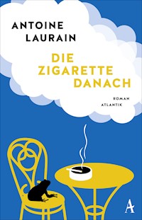 Die Zigarette danach - Antoine Laurain - E-Book
