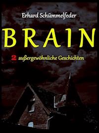BRAIN - Erhard Schümmelfeder - E-Book