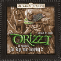 DRIZZT, Folge 2: Im Reich der Spinne - R.A. Salvatore - Hörbuch