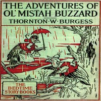 The Adventures of Old Mr. Buzzard - Thornton W. Burgess - Hörbuch