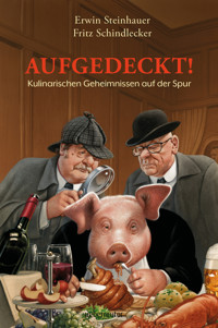 Aufgedeckt! - Erwin Steinhauer - E-Book