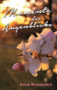 Momente des Augenblicks - Anne Wunderlich - E-Book
