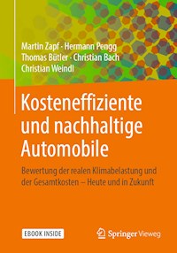 Kosteneffiziente und nachhaltige Automobile - Martin Zapf - E-Book
