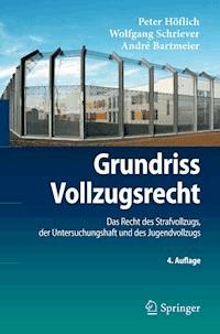 Grundriss Vollzugsrecht - Peter Hoflich - E-Book