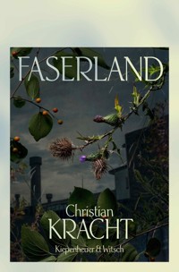 Faserland - Christian Kracht - E-Book