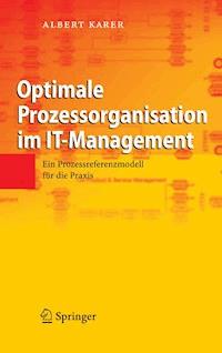 Optimale Prozessorganisation im IT-Management - Albert Karer - E-Book