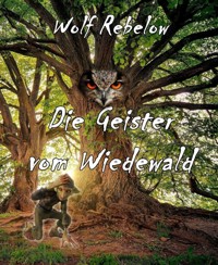 Die Geister vom Wiedewald - Wolf Rebelow - E-Book
