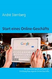 Start eines Online-Geschäfts - Andre Sternberg - E-Book