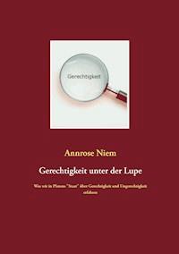 Gerechtigkeit unter der Lupe - Annrose Niem - E-Book