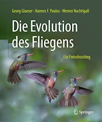 Die Evolution des Fliegens – Ein Fotoshooting - Georg Glaeser - E-Book