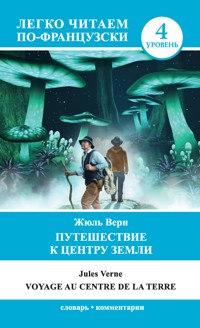 Путешествие к центру Земли. Уровень 4 - Жюль Верн - E-Book