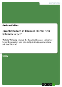 Erzählinstanzen in Theodor Storms "Der Schimmelreiter" - Gudrun Kahles - E-Book