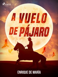 A vuelo de pájaro - Enrique De María - E-Book