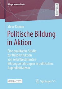 Politische Bildung in Aktion - Steve Kenner - kostenlos E-Book