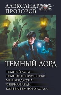 Темный лорд - Александр Прозоров - E-Book