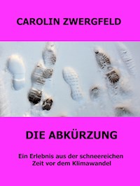 Die Abkürzung - Carolin Zwergfeld - E-Book