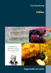 Fühlen - Gerd Steinkoenig - E-Book