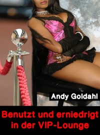 Benutzt und erniedrigt in der VIP-Lounge - Andy Goldahl - E-Book