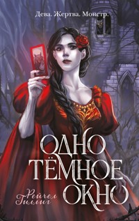Одно темное окно - Рейчел Гиллиг - E-Book