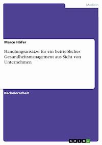 Handlungsansätze für ein betriebliches Gesundheitsmanagement aus Sicht von Unternehmen - Marco Höfer - E-Book
