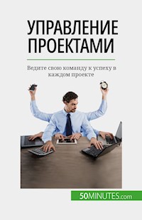 Управление проектами - Nicolas Zinque - E-Book