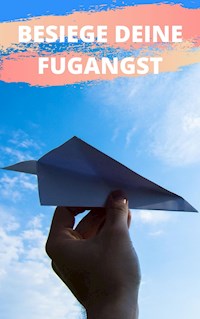Besiege deine Flugangst - Claudia Hauptmann - E-Book