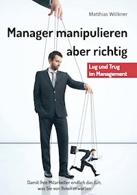 Manager manipulieren - Matthias Wölkner - E-Book