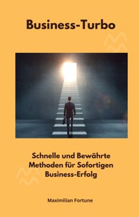 Business-Turbo - Maximilian Fortune - E-Book