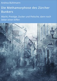 Die Methamorphose des Zürcher Bunkers - Andrea Bühlmann - E-Book