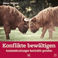 Konflikte bewältigen - Johannes Stockmayer - E-Book