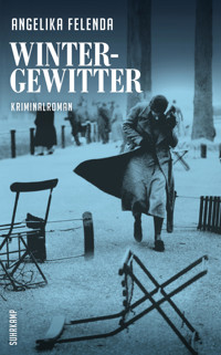 Wintergewitter - Angelika Felenda - E-Book