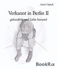 Verkannt in Berlin II - André Orphall - E-Book