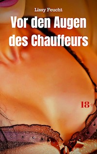 Vor den Augen des Chauffeurs - Lissy Feucht - E-Book