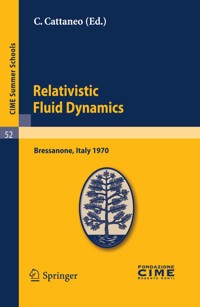 Relativistic Fluid Dynamics -  - E-Book