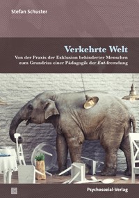 Verkehrte Welt - Stefan Schuster - E-Book