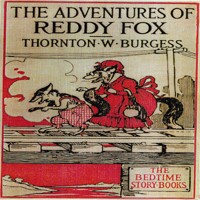 The Adventures of Reddy Fox - Thornton W. Burgess - Hörbuch