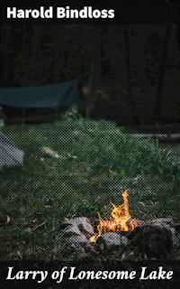 Larry of Lonesome Lake - Harold Bindloss - E-Book