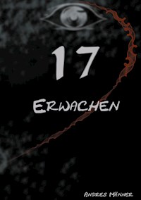 17 - Andres Männer - E-Book