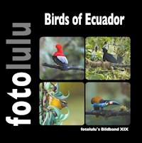 Birds of Ecuador - fotolulu - E-Book