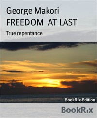FREEDOM AT LAST - George Makori - E-Book