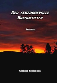Der geheimnisvolle Brandstifter - Gabriele Schillinger - E-Book