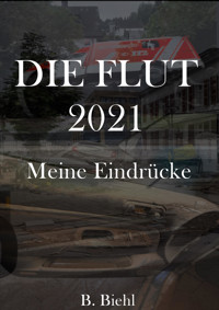 Die Flut 2021 - Meine Eindrücke - B. Biehl - E-Book