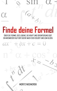 Finde deine Formel - Moritz Niedworok - E-Book