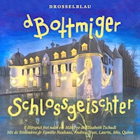 Bottmiger Schlossgeischter - Elisabeth Tschudi-Steinmann - Hörbuch