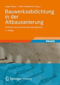 Bauwerksabdichtung in der Altbausanierung -  - E-Book